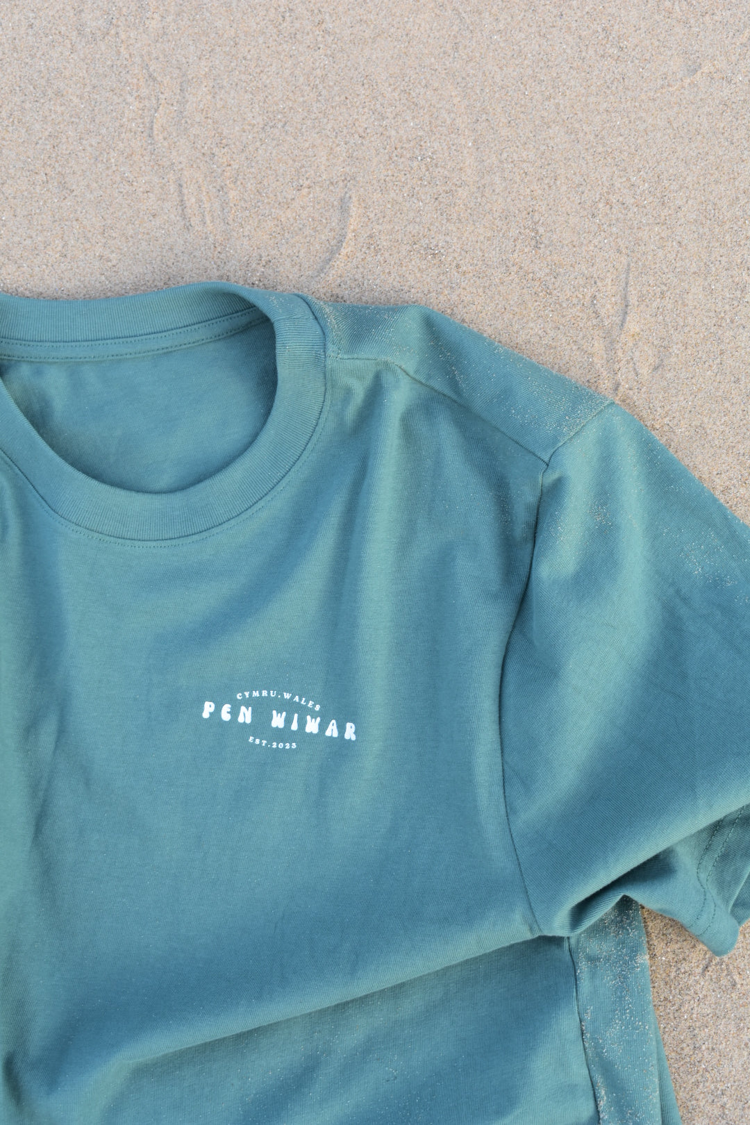 Tryfan Relaxed Fit Tee in Moss Green