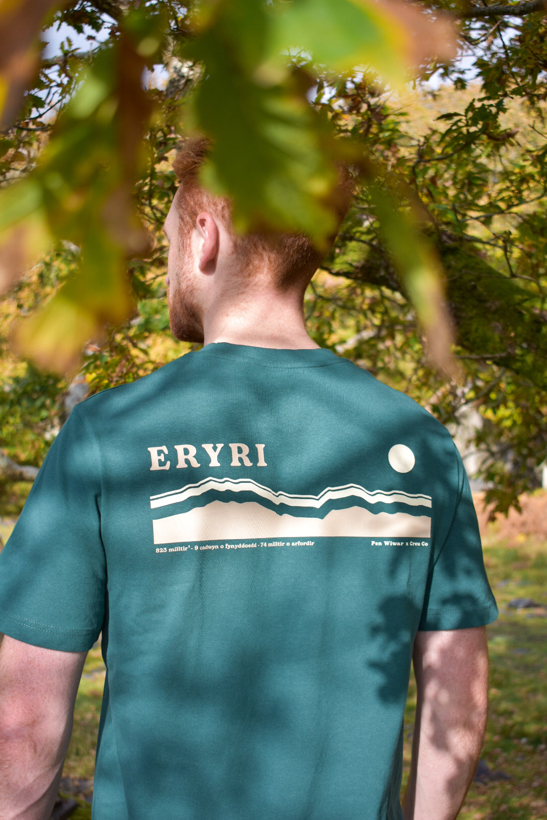 Eryri relaxed fit Tee in Fern Green