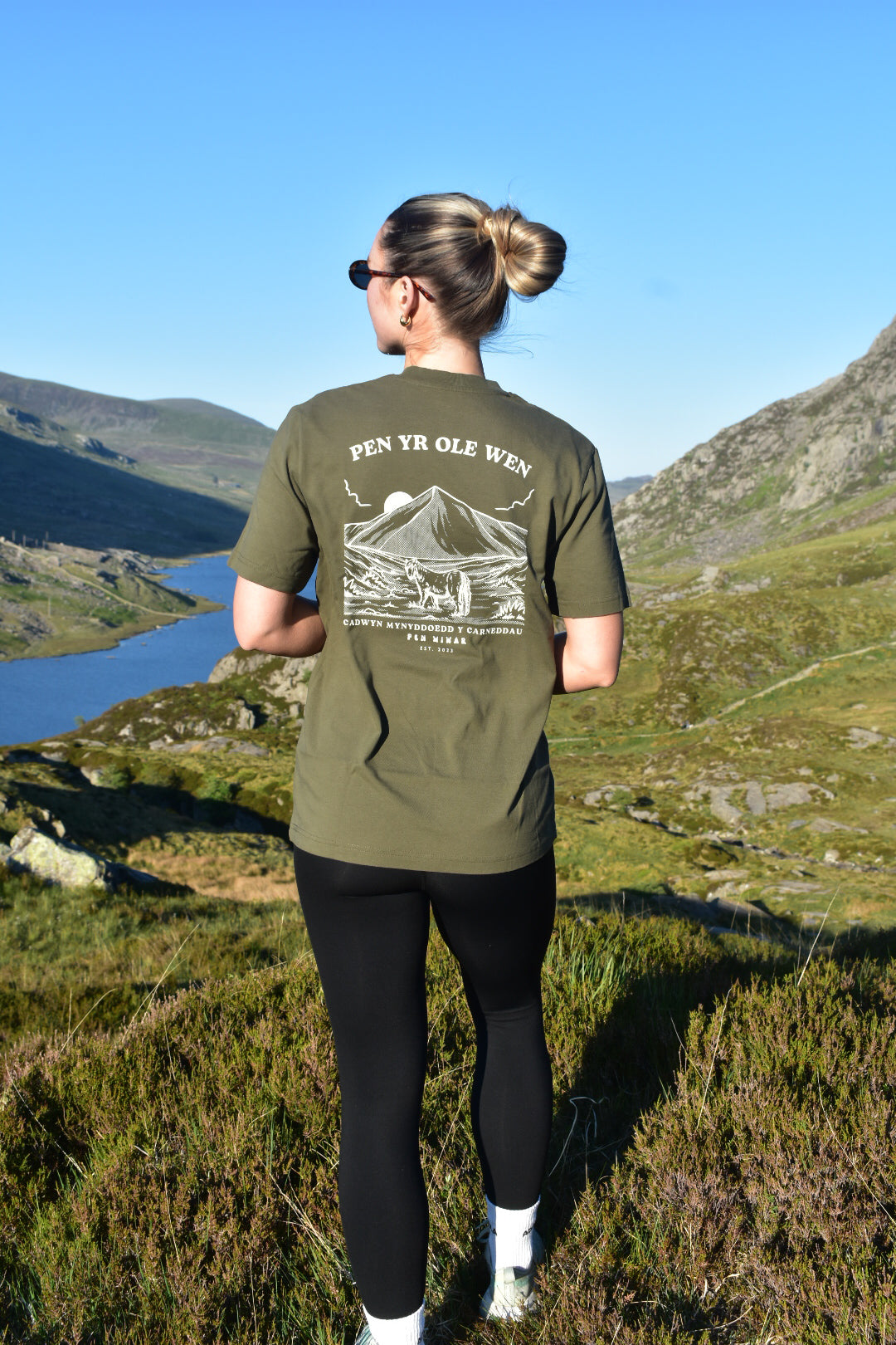 Pen yr Ole Wen Relaxed Fit Tee in Khaki