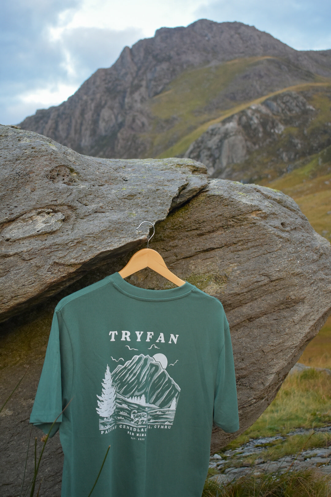 Tryfan Relaxed Fit Tee in Moss Green