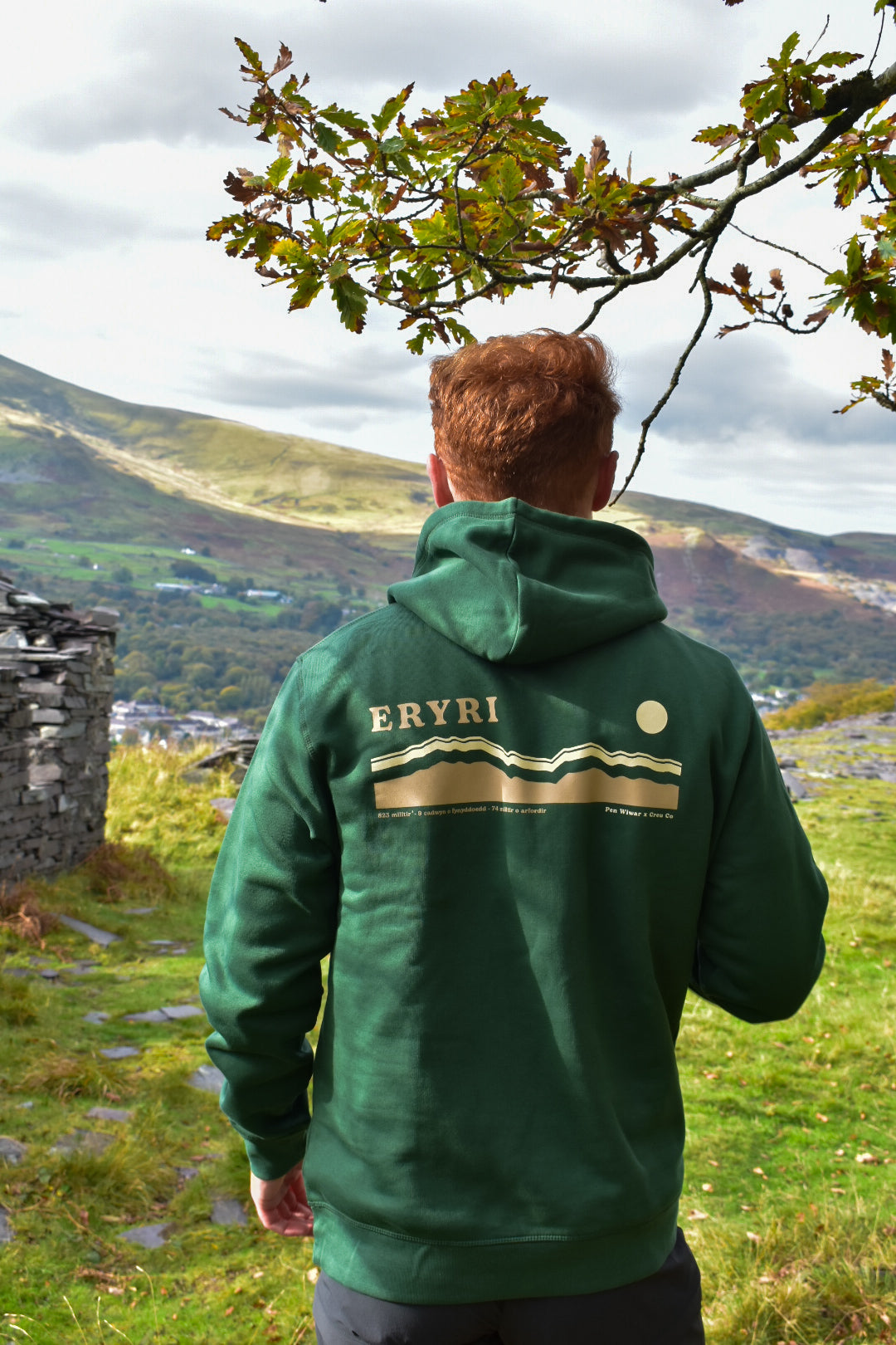 Eryri hoodie in Fern Green