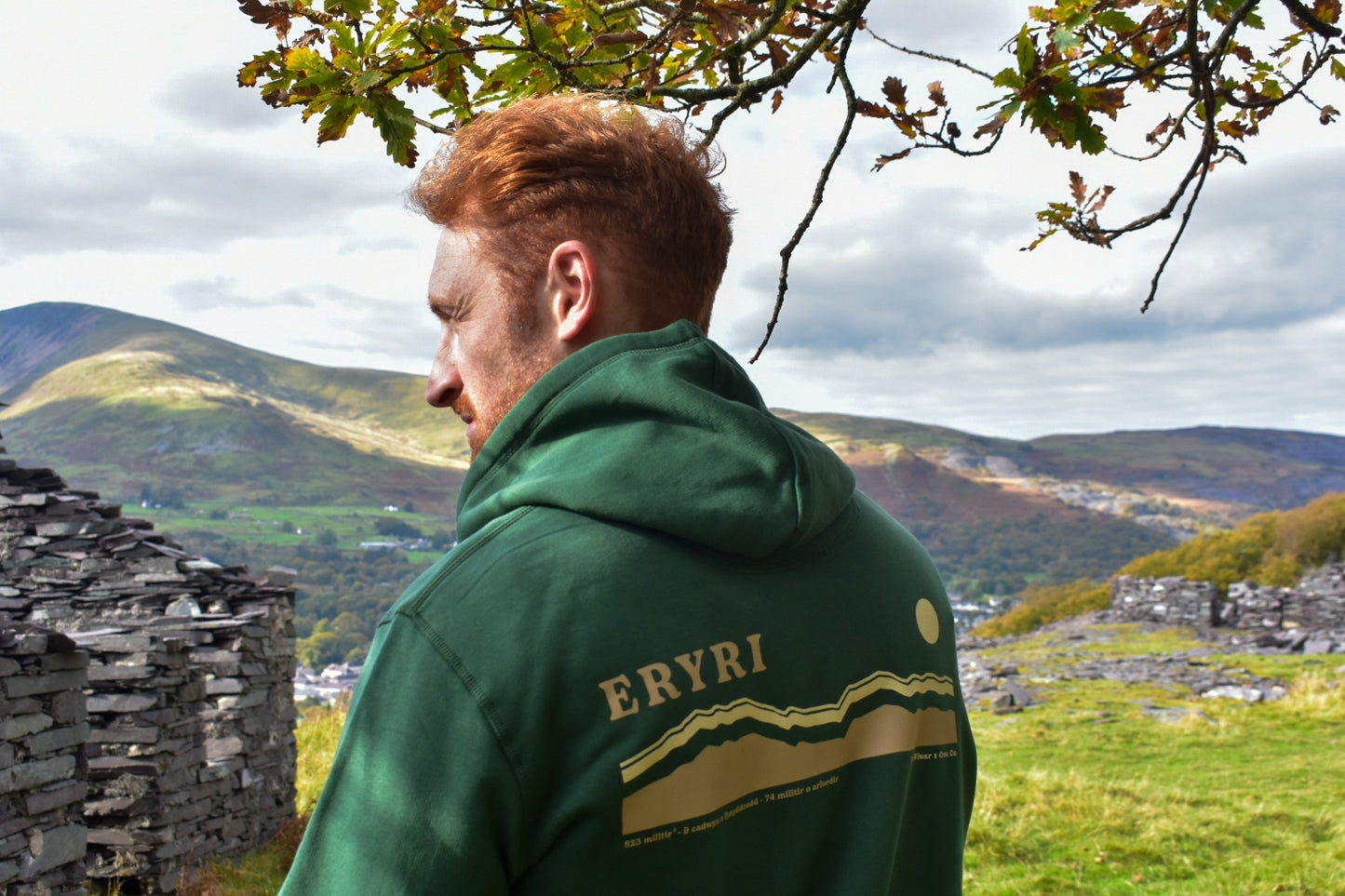 Eryri hoodie in Fern Green