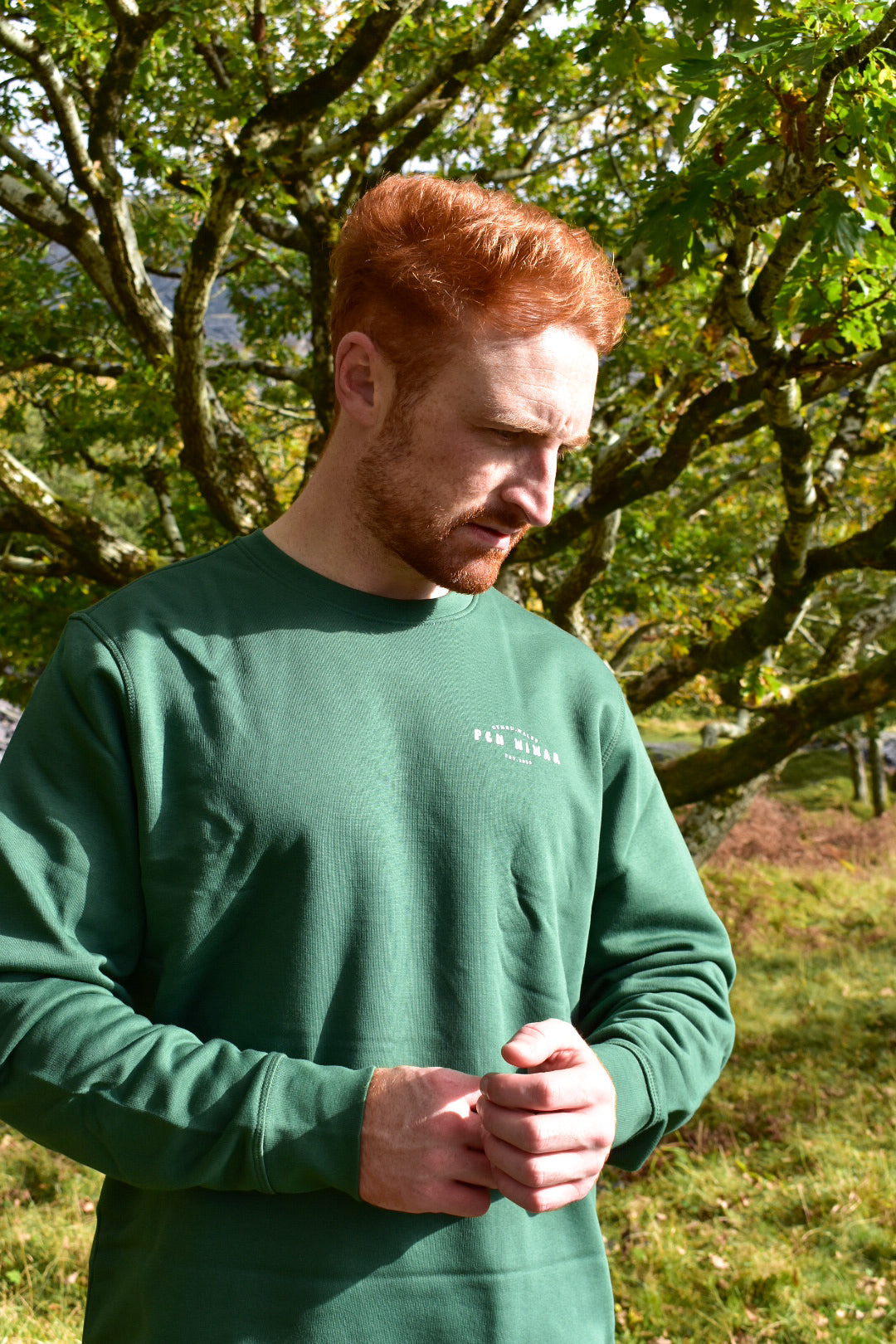 Wyddfa Sweatshirt in vintage green
