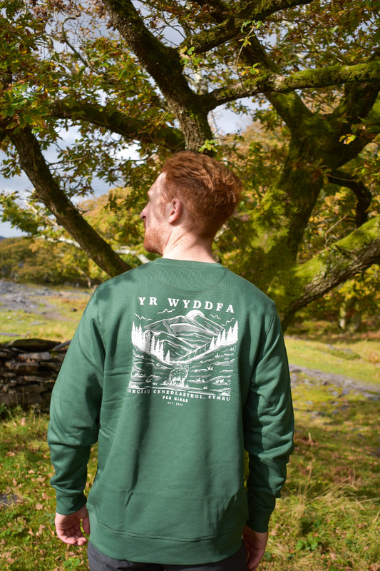 Wyddfa Sweatshirt in vintage green