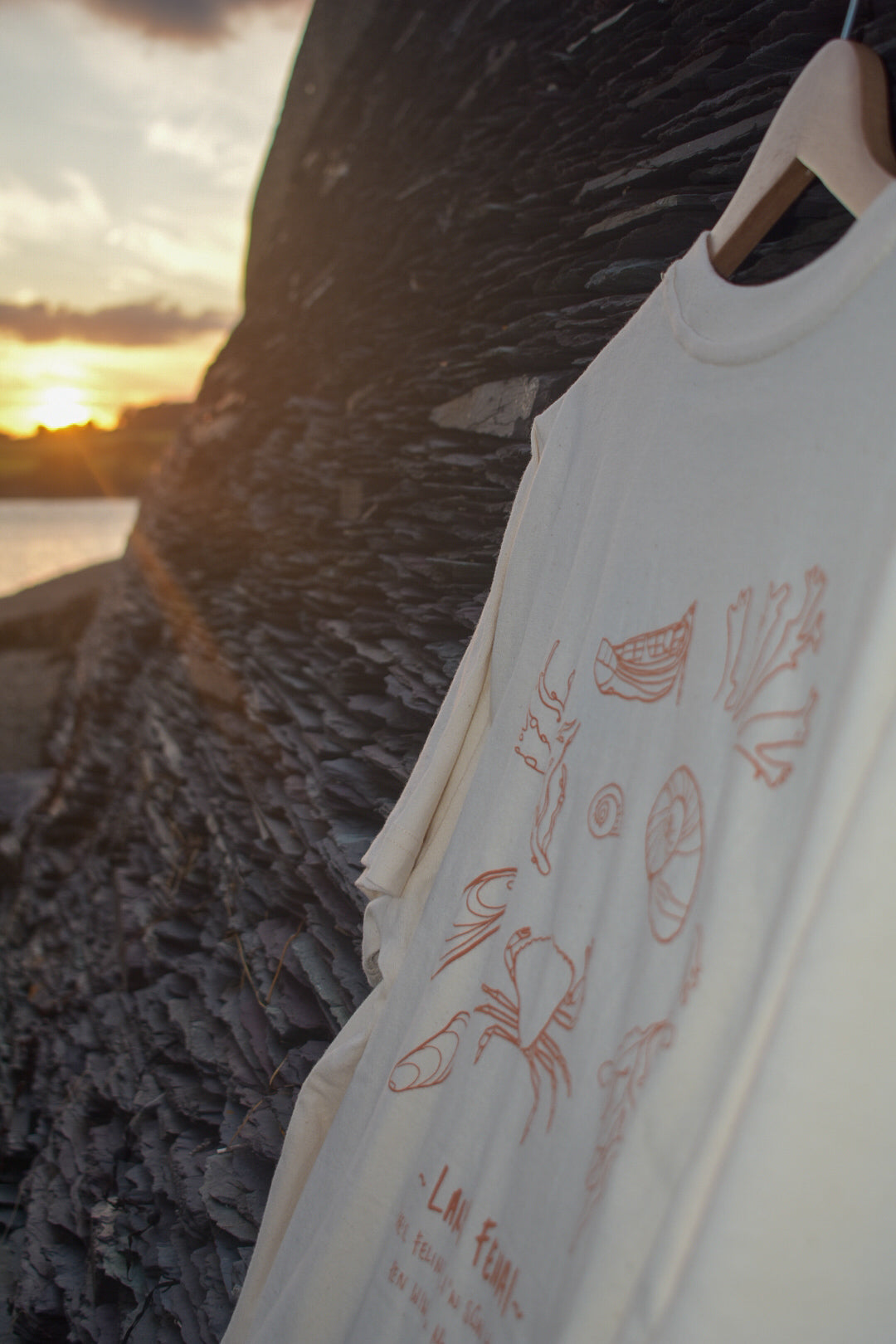Lan y Fenai Relaxed fit Tee in Natural