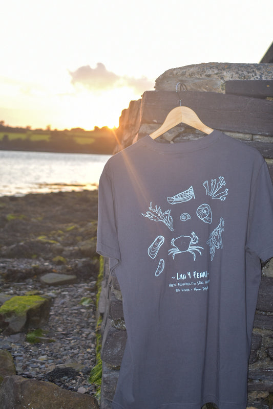 Lan y Fenai Relaxed fit Tee in Anthracite