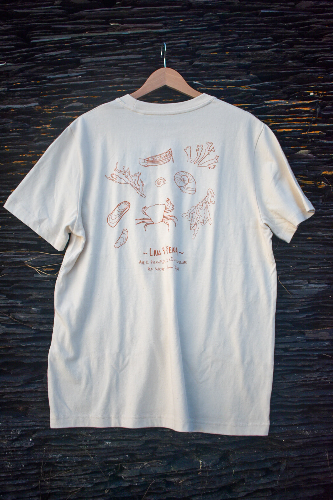 Lan y Fenai Relaxed fit Tee in Natural