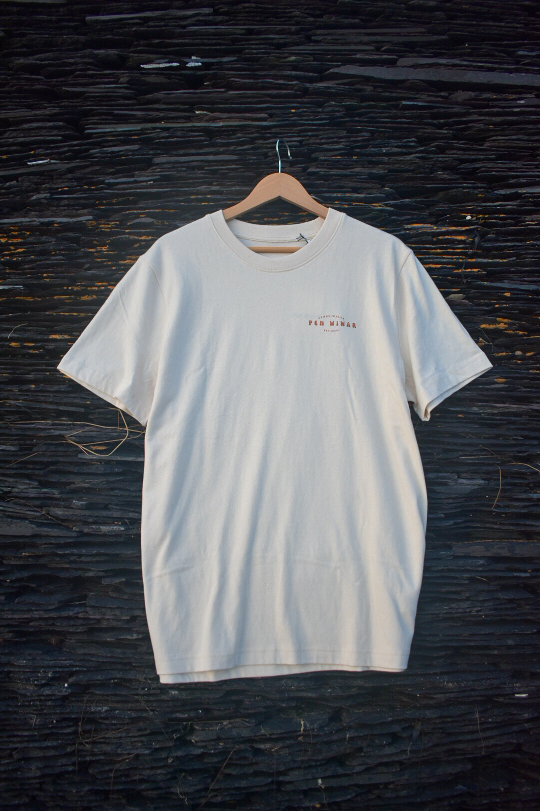 Lan y Fenai Relaxed fit Tee in Natural