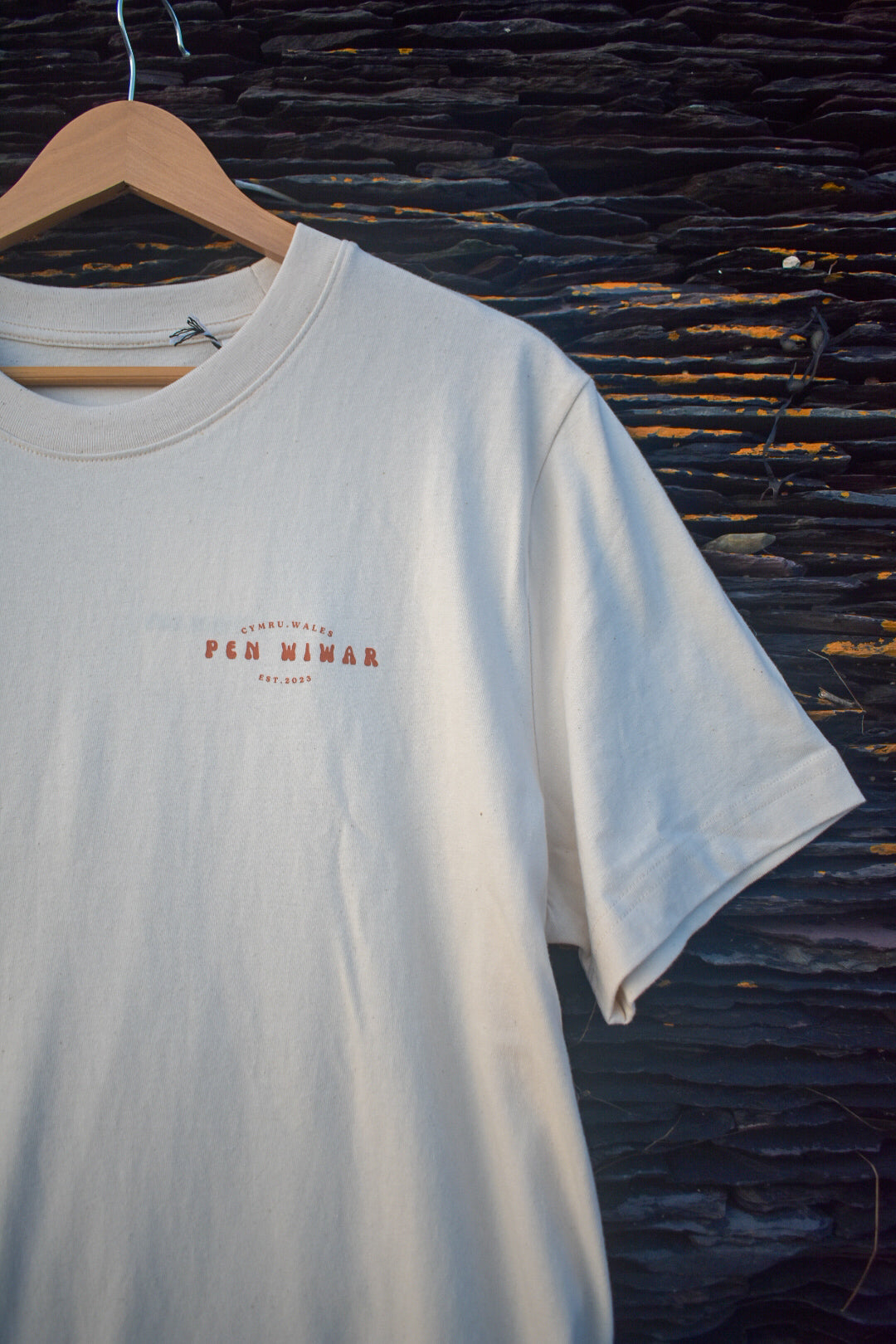 Lan y Fenai Relaxed fit Tee in Natural