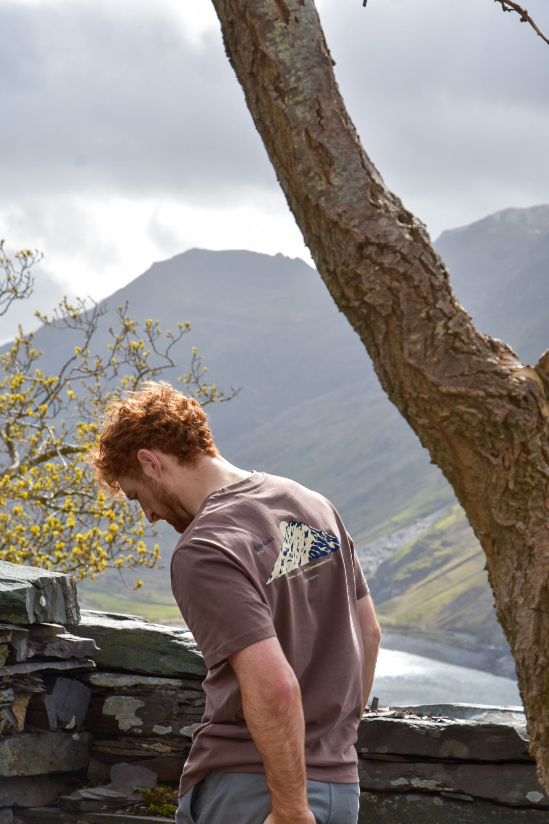Crib Goch Relaxed Fit T-shirt in Mocha Brown