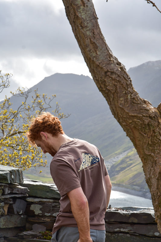 Crib Goch Relaxed Fit Tee in Mocha Brown