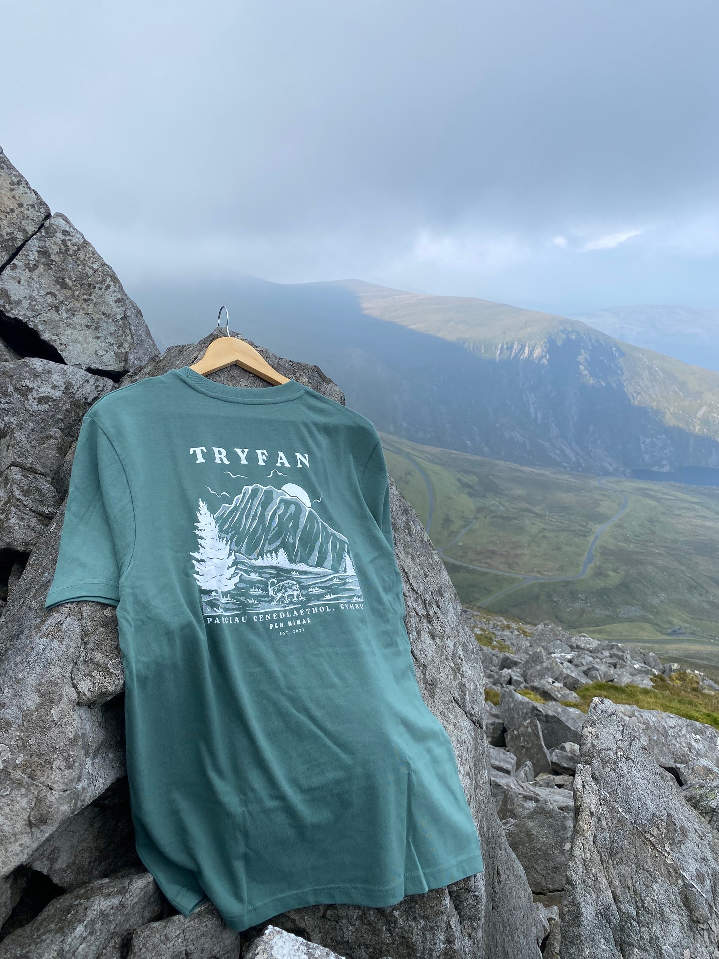 Tryfan Relaxed Fit Tee in Moss Green