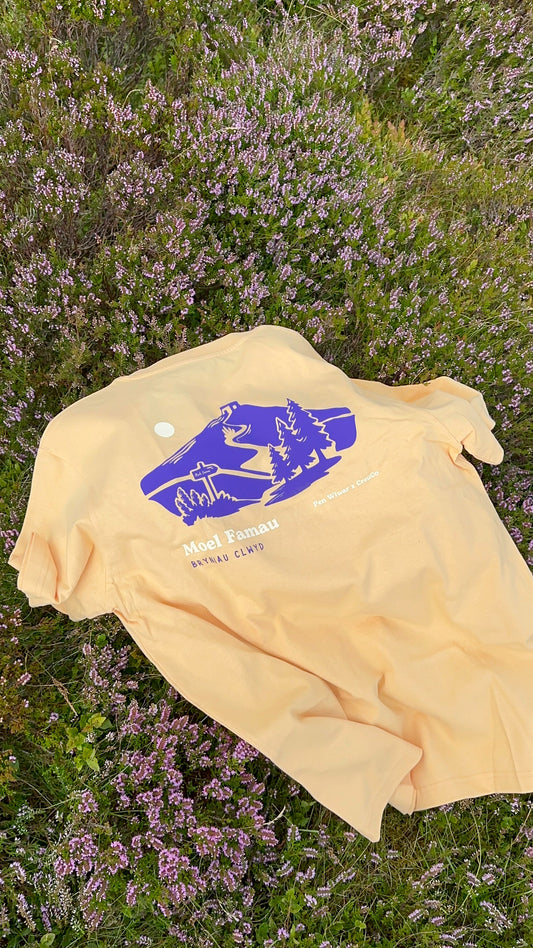 Moel Famau Relaxed Fit Tee in Nispero