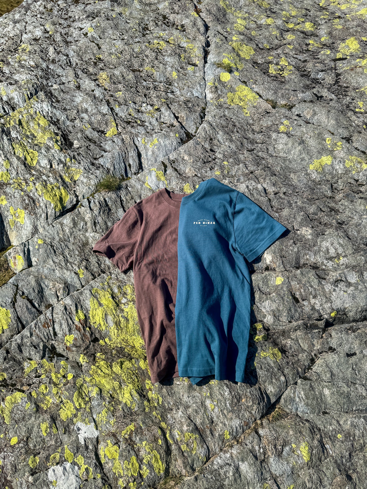 Cader Idris Relaxed fit T-shirt in Deep Blue