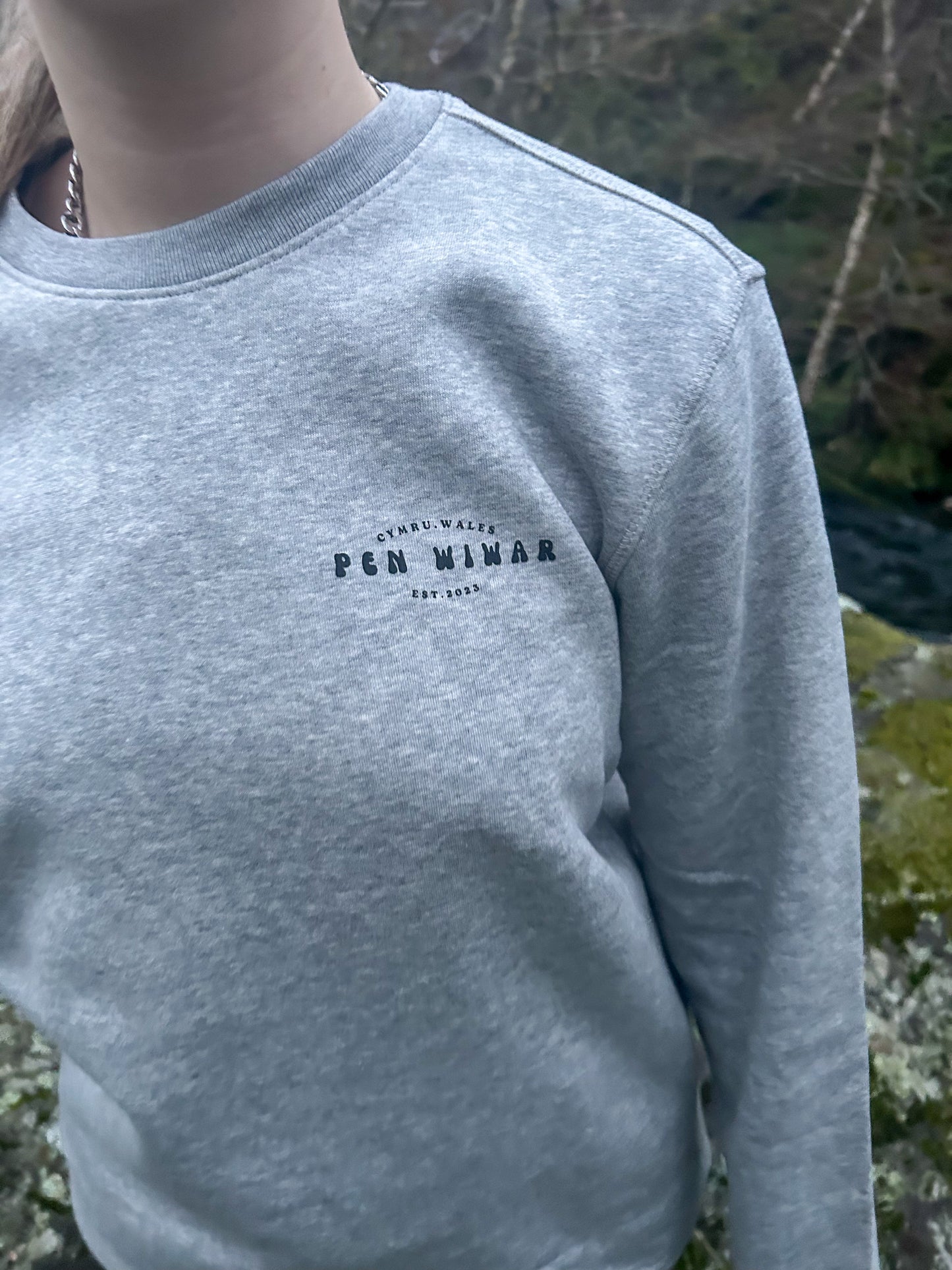 Eryri Sweatshirt in Grey