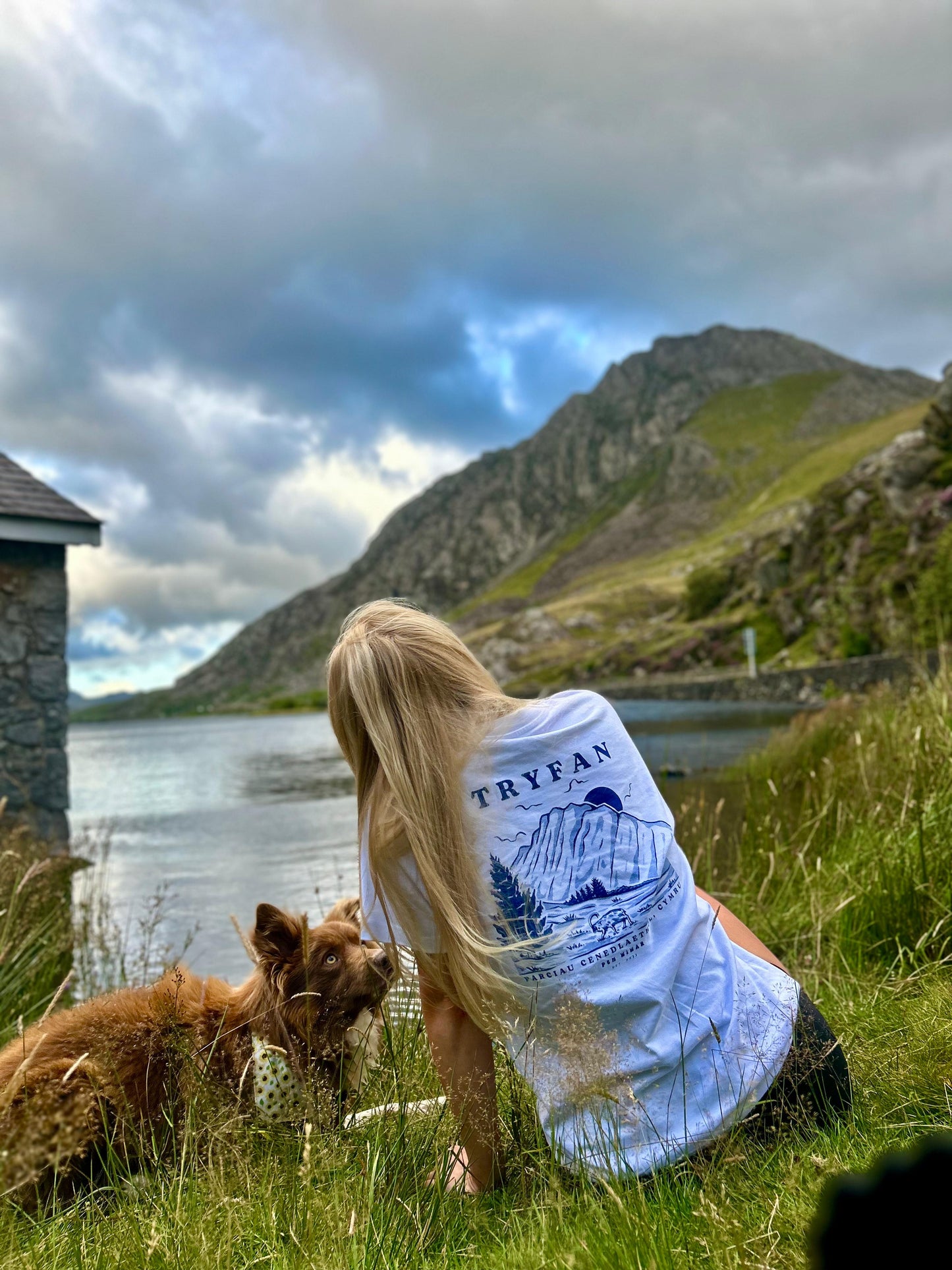 Crys-T Tryfan mewn Gwyn